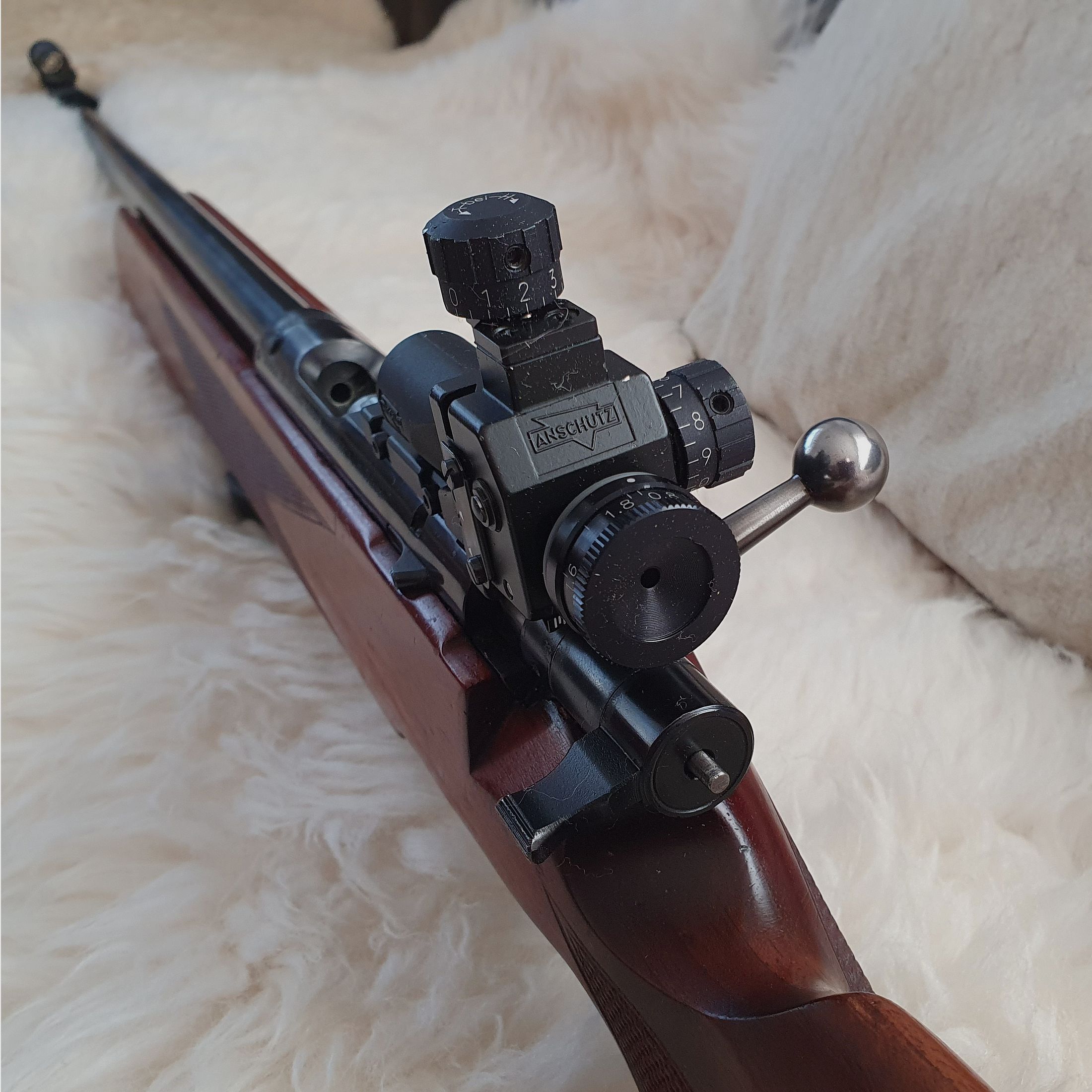 KK Anschütz sports shooting rifle .22 and SP Walther