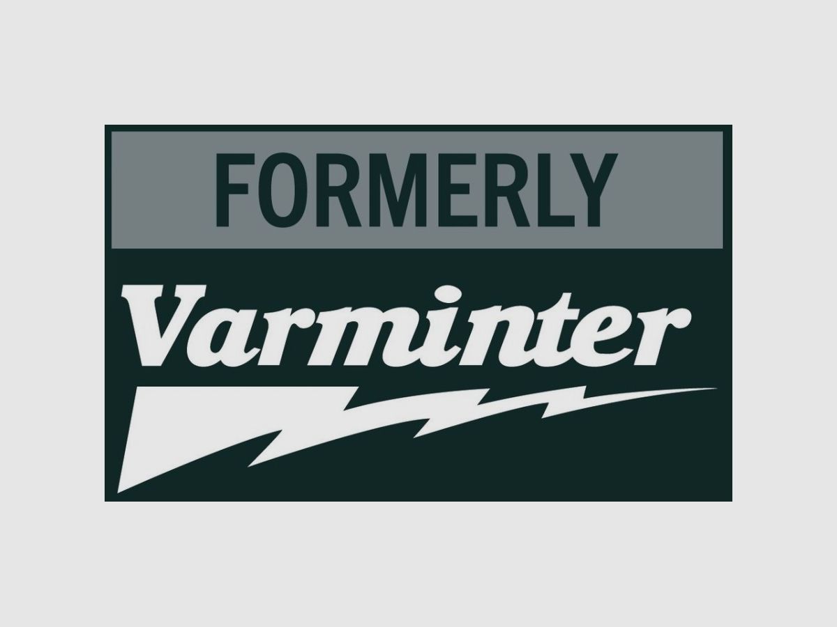 Projectiles .22-40-HP Varmintking, image 2 sur 2