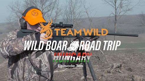 Wild Boar Hunting: Driven Boar Hunting and Traditions in Hungary with Ian Harford