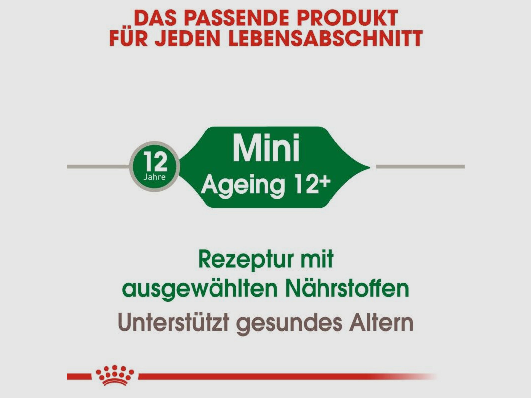 ROYAL CANIN Ältere Kleine Hunde Trockenfutter Mini Ageing 12+ 3,5 Kg