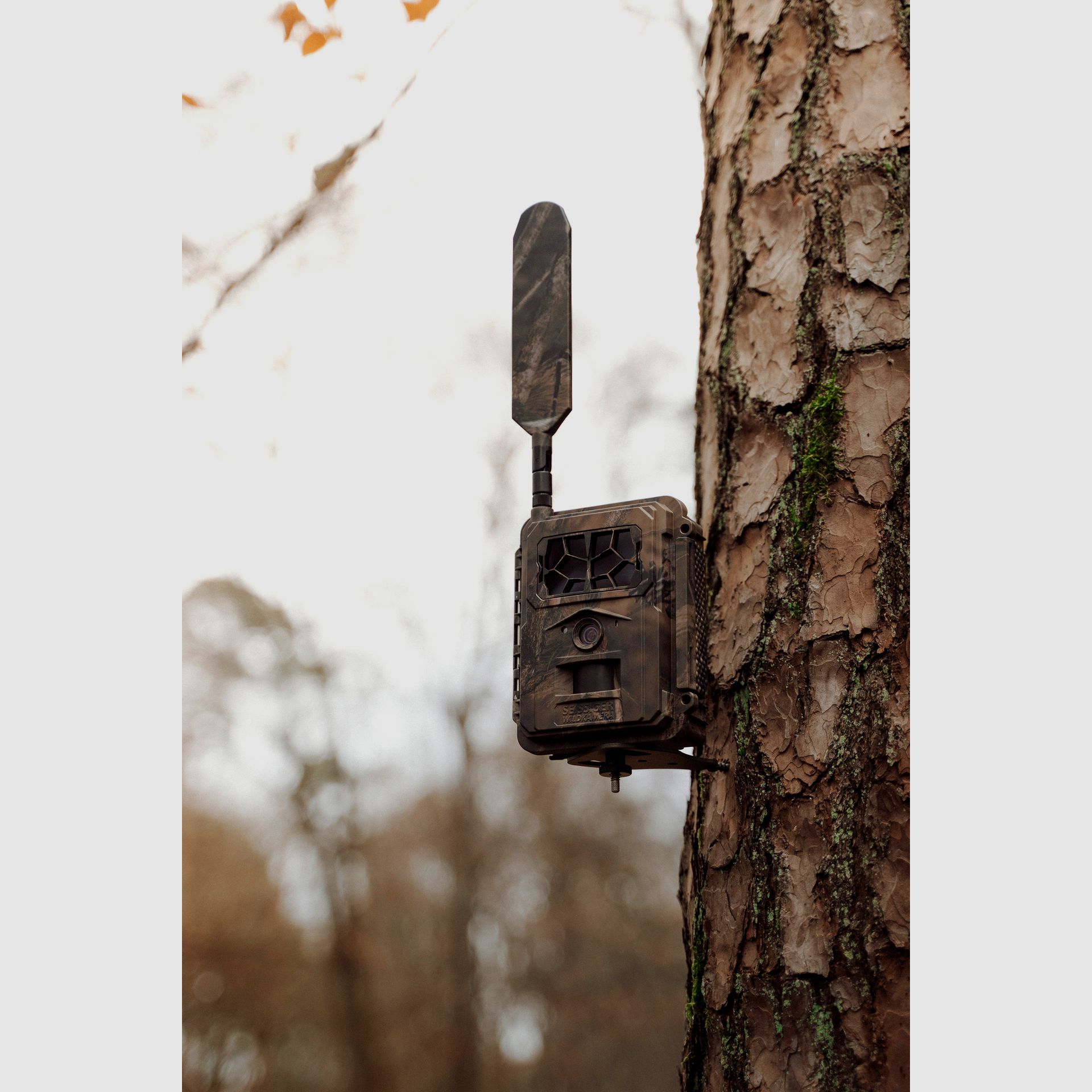 SEISSIGER Pro-Cam LTE SUPERSIM Edition fototrappola, immagine 12 di 14