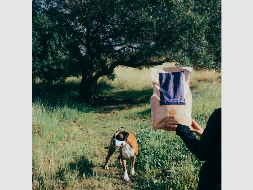 Essential Foods Essential Estate Living Small Size 4x3kg