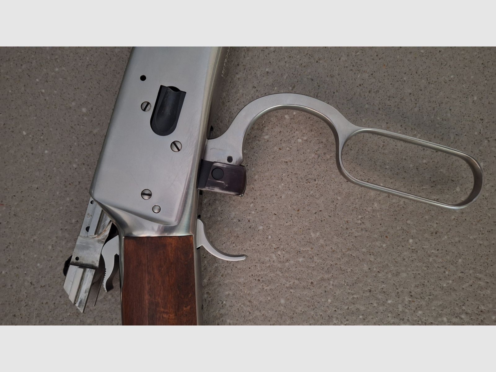 Puma Octagonal, Rossi .44 Magnum 24 inch stainless con Burris Fastfire 3
