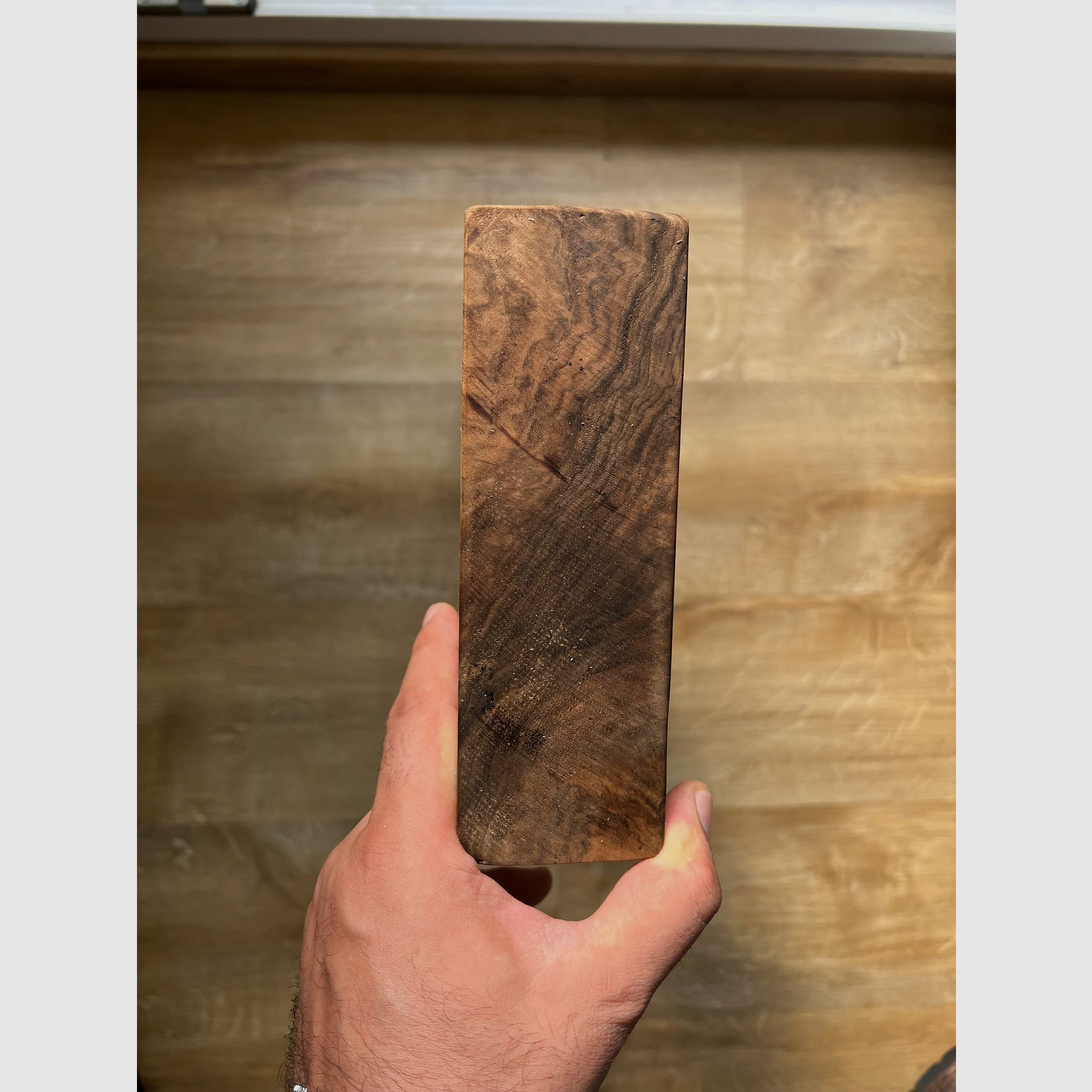 Blank stock Caucasian walnut