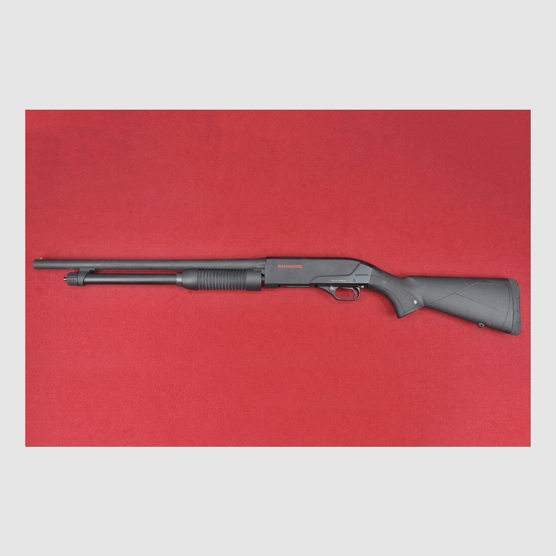 Winchester SXP