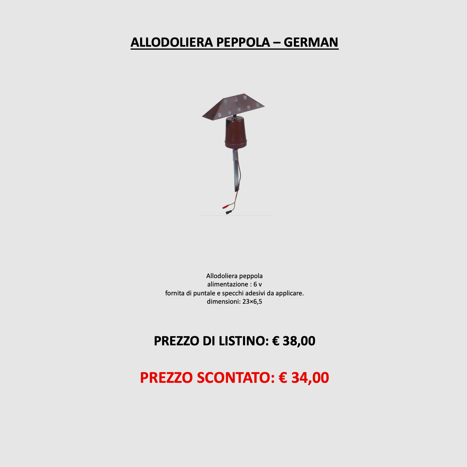 DUITS – ALLODOLIERA PEPPOLA, afbeelding 3 van 3