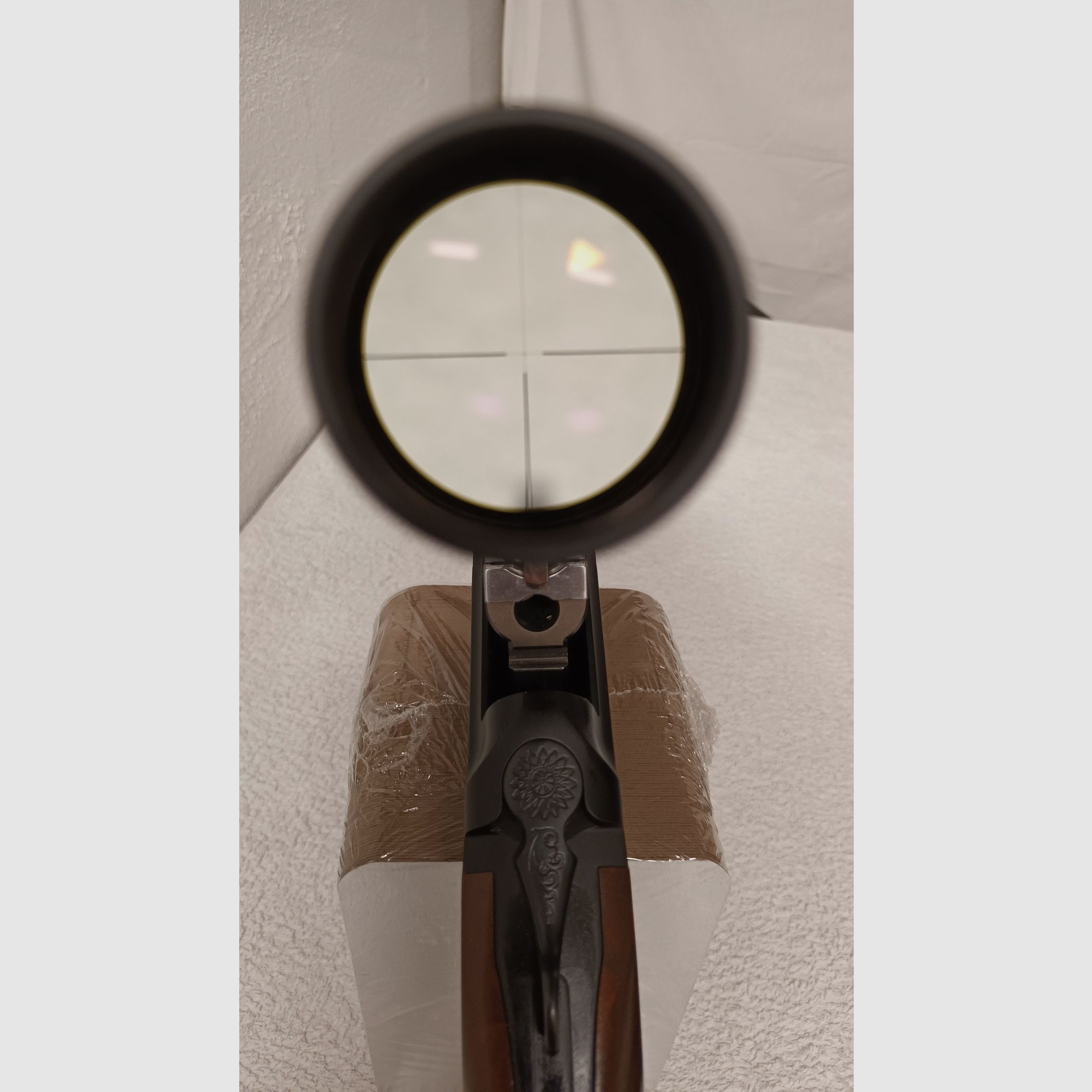 BBF Blaser 95 Special Kal. 12/76 + 3006 mit Einstecklauf Kal.223