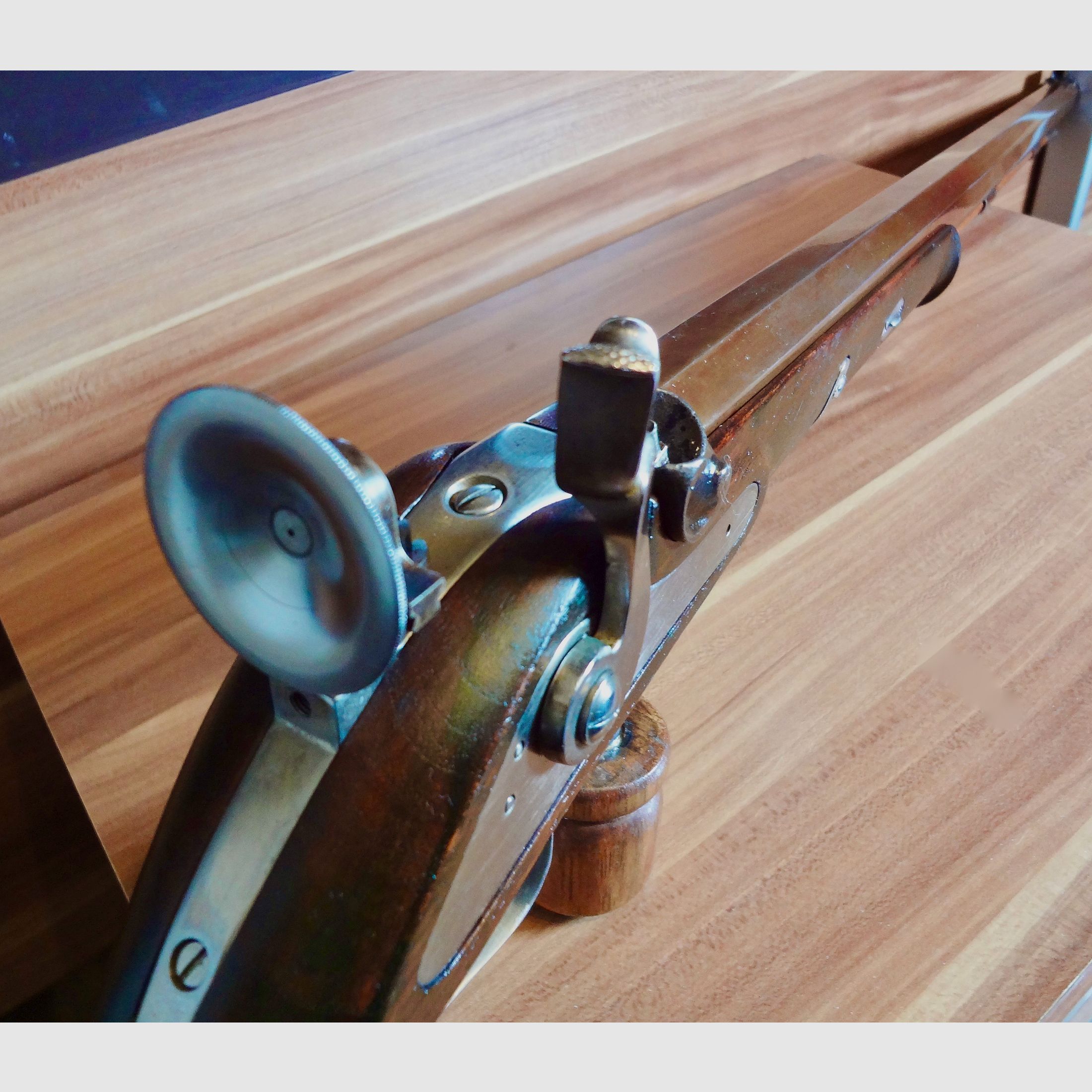 Match muzzle-loading rifle Palmetto Waadländer in caliber .45.