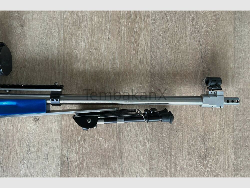 Steyr Arms Modified .308Win