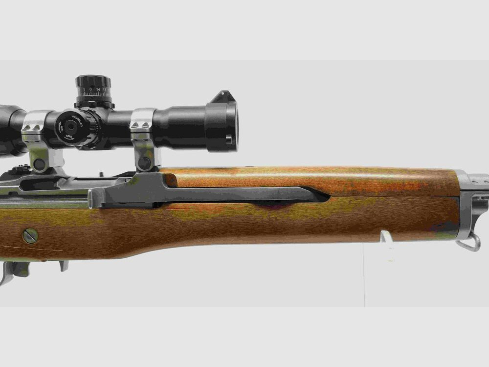 Ruger Ranch Rifle Mini 14