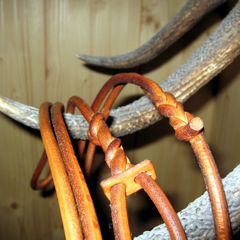Hundeleine selber machen - Hundeleine selber machen