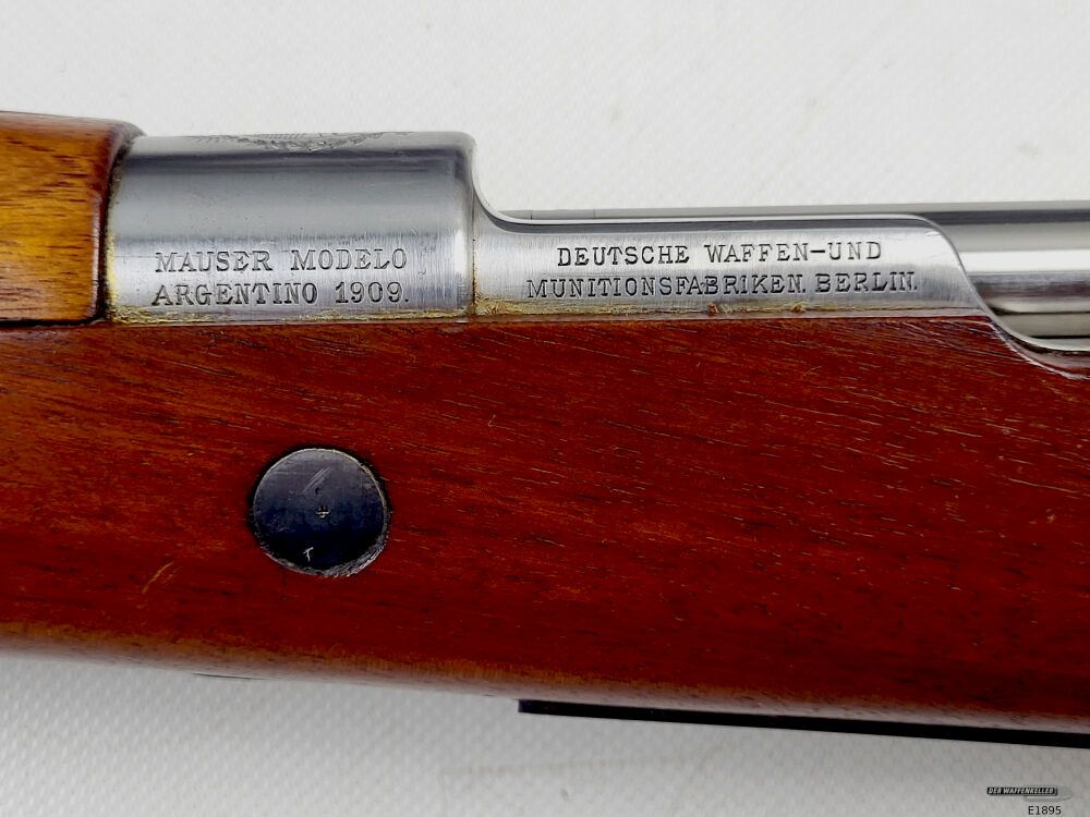 DWM Argentino 1909