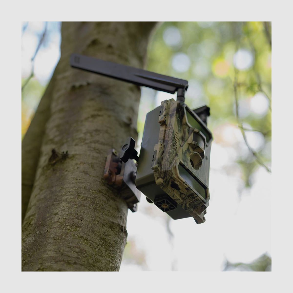 DÖRR Haltesystem Multi für SnapShot camouflage