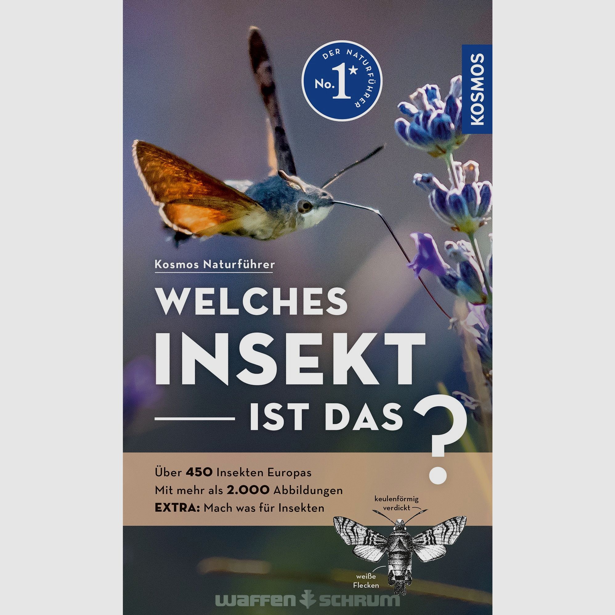 Kosmos Welches Insekt ist das? Bellmann