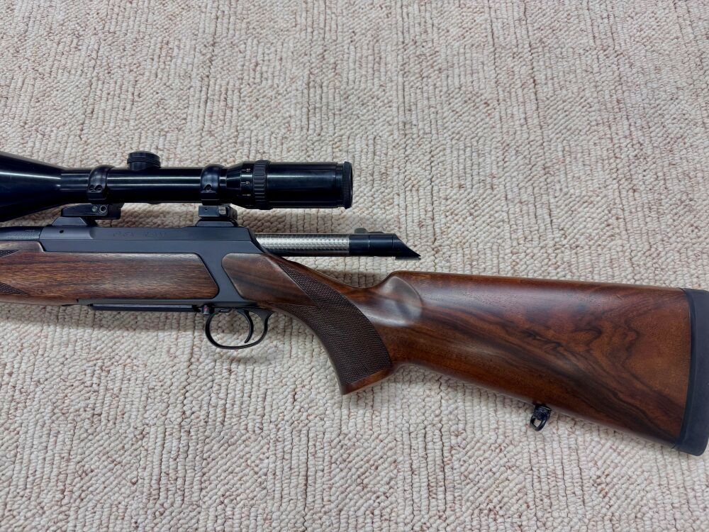Sauer 200