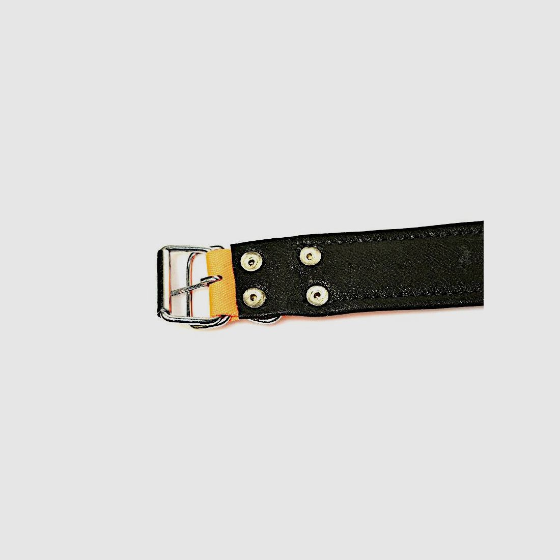 Twelvepointer Hunde Warnhalsung 50 cm