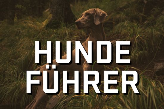 Hundeführer