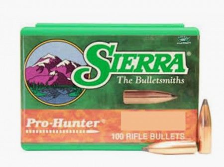 SIERRA Geschosse PRO-HUNTER 303 150gr SPT - 2300