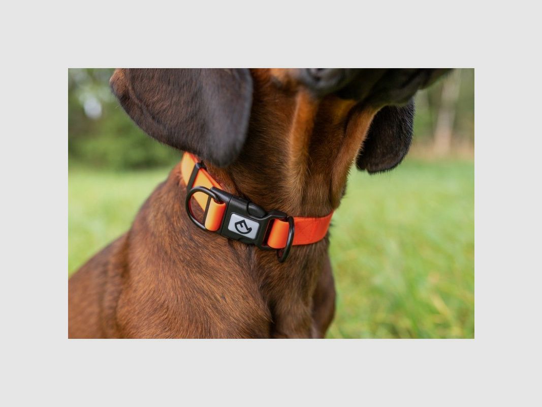 Farm-Land Collar Ajustable Naranja Señal
