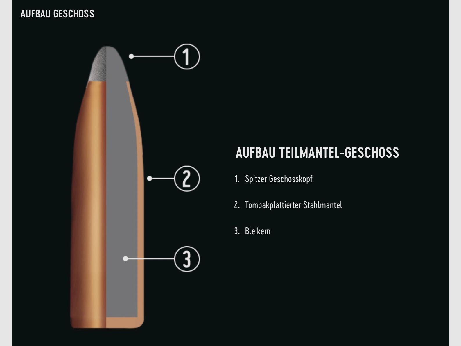RWS 2116472 .223 Rem. Teilmantel Spitz 3,6g 55grs.