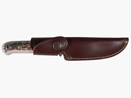 Cacciatore Nordforest coltello da caccia Hirschhornmesser dritto
