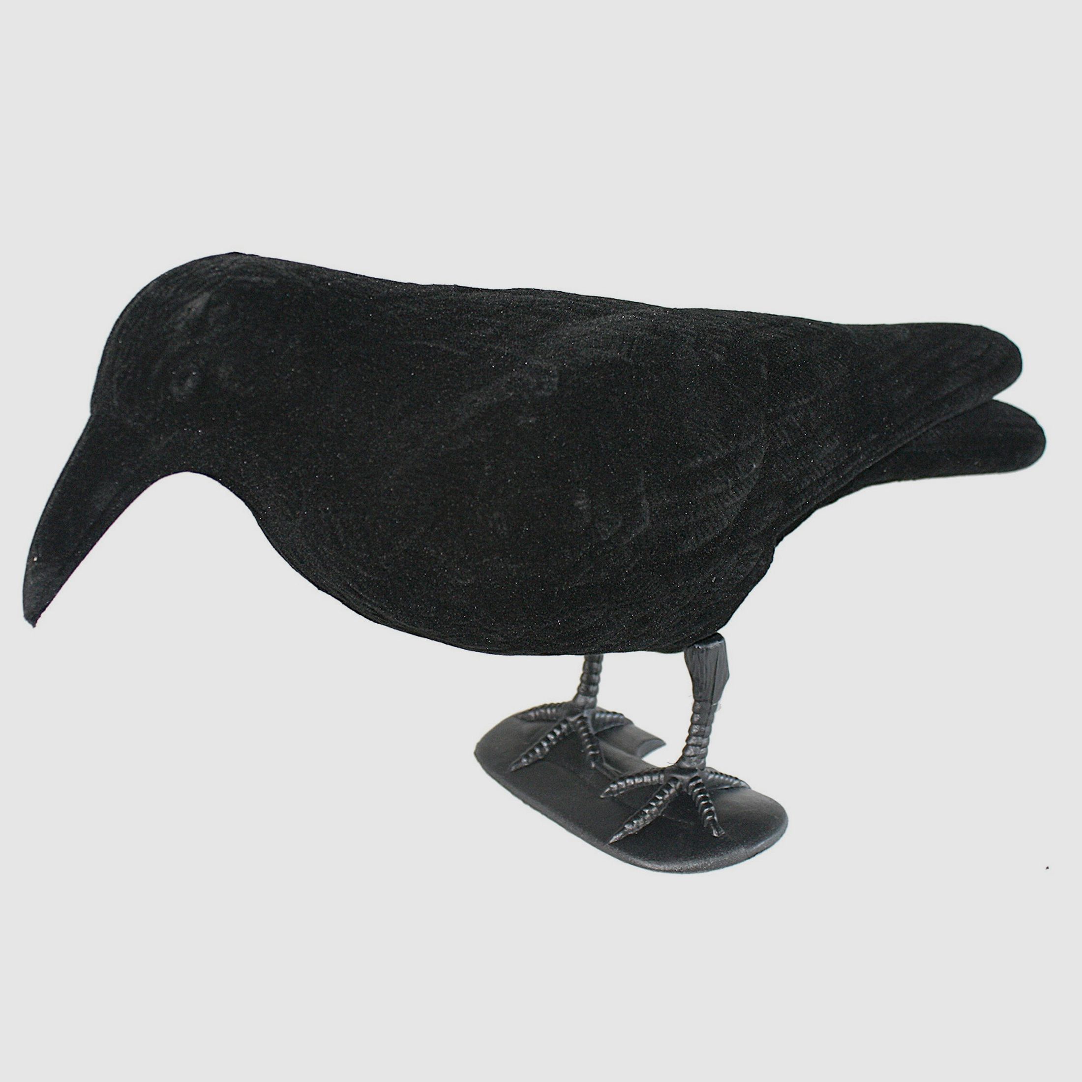 Beflockter Lockvogel Krähe