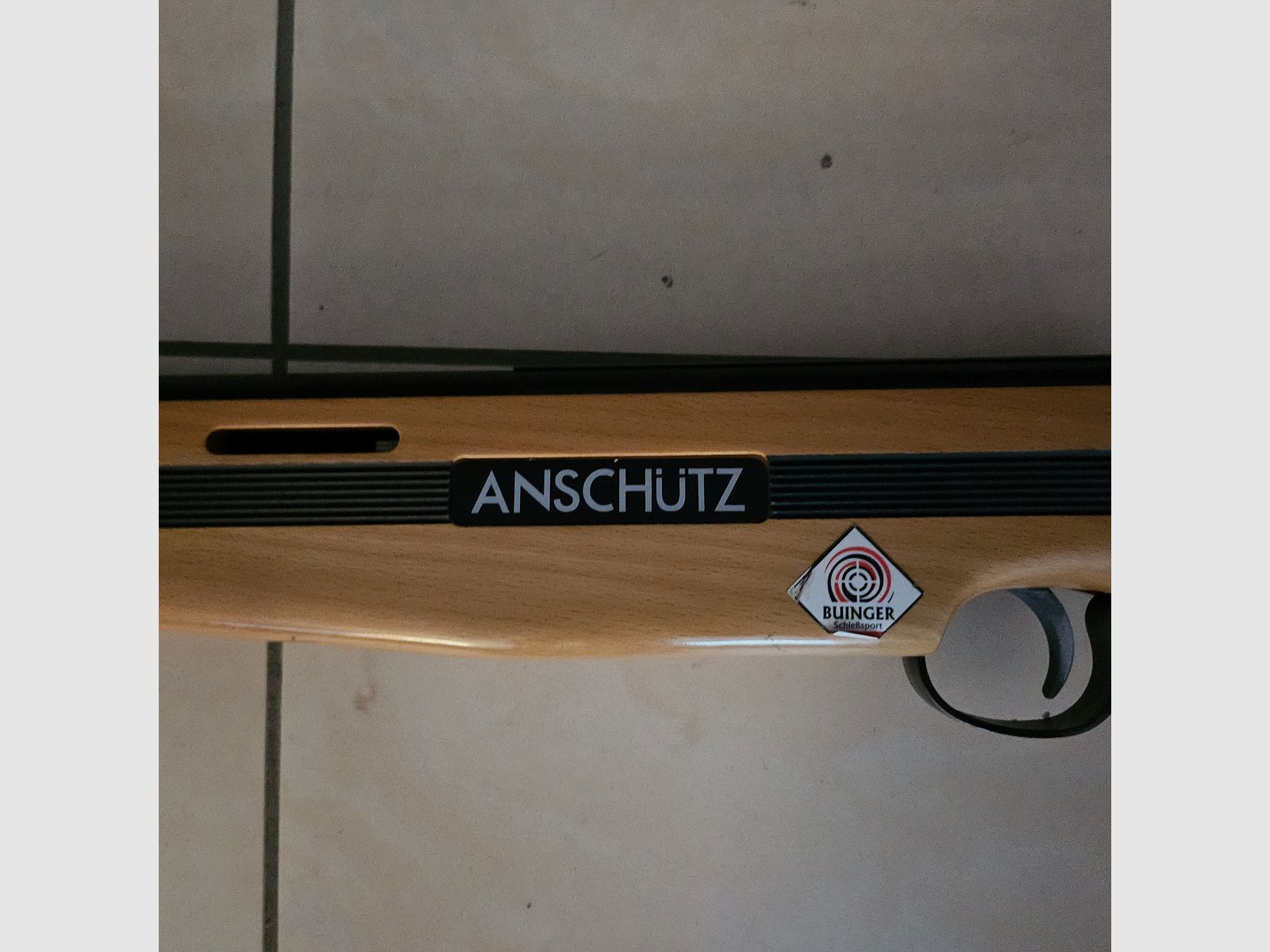 Anschütz LaserPower Lichtgewehr