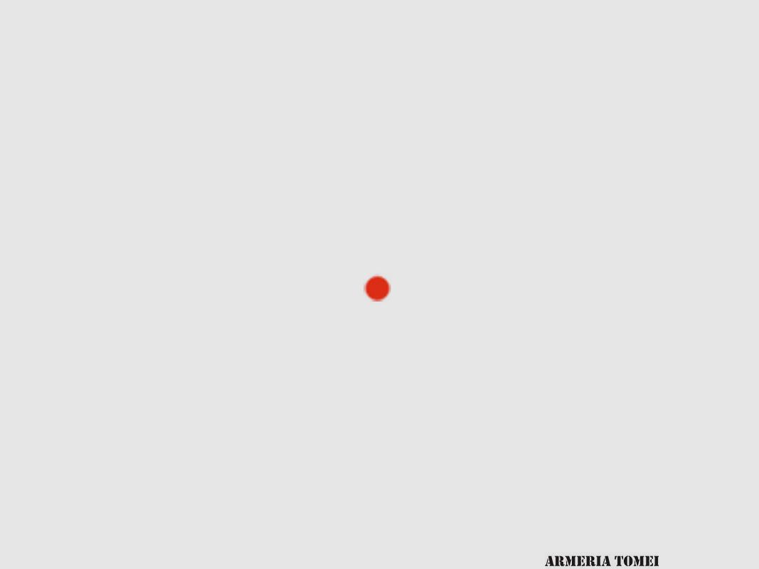 RED DOT – SIGHTMARK – WOLVERINE SERIES 1×23 CSR LQD 4 MOA (ILLUMINAZIONE ROSSA O VERDE), immagine 4 di 8