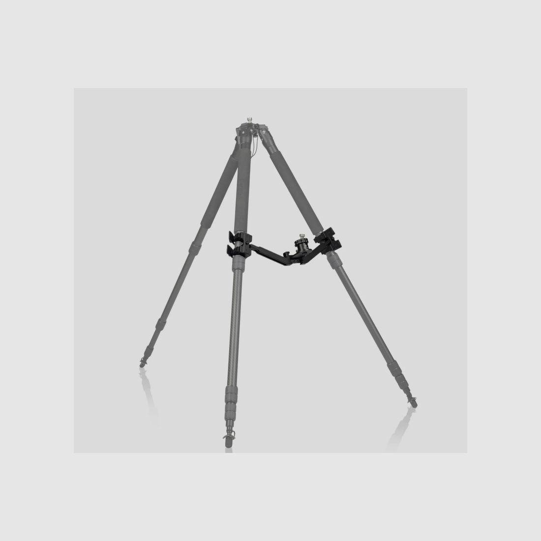 CP Brace - Einzelhandel