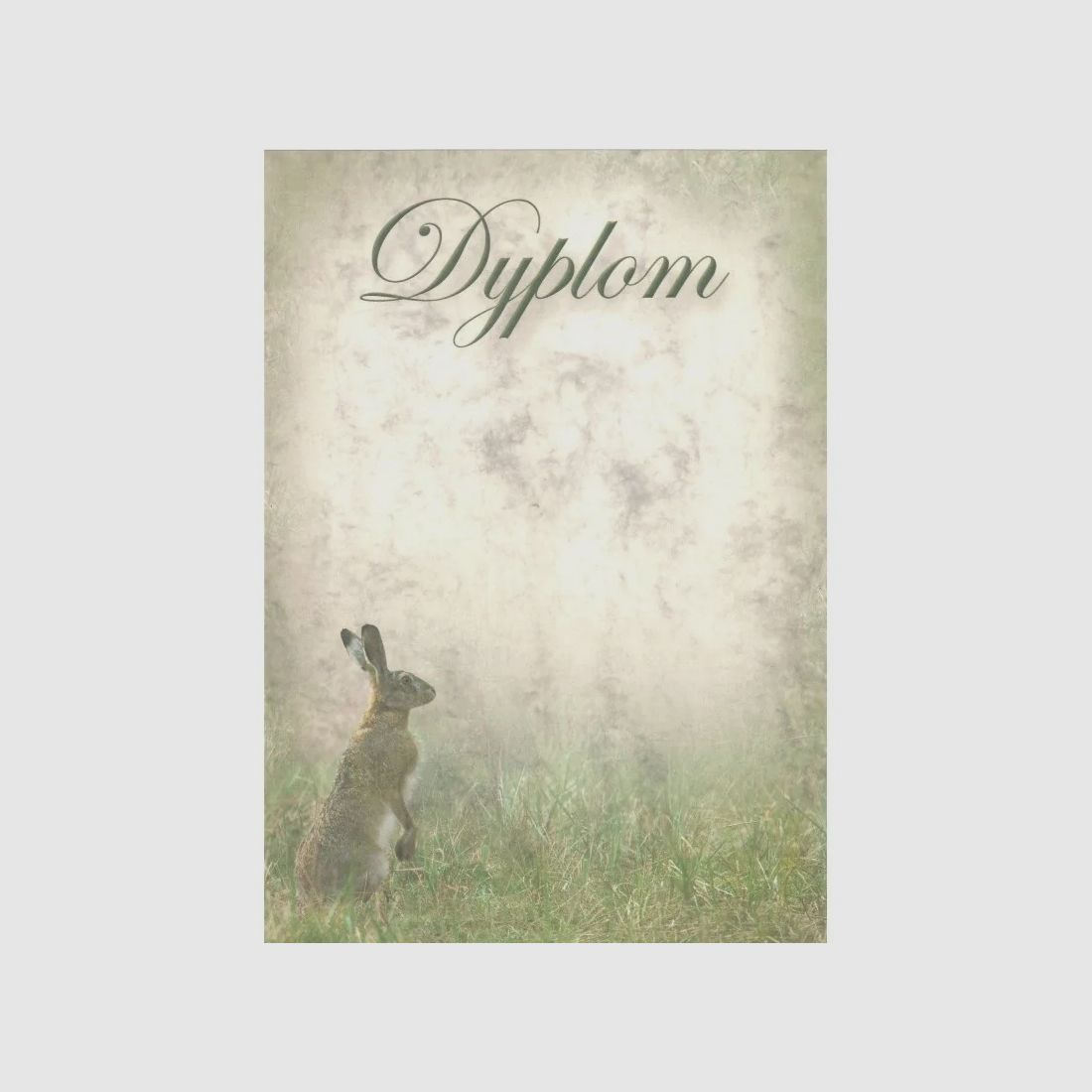 DIPLOMA – HARE