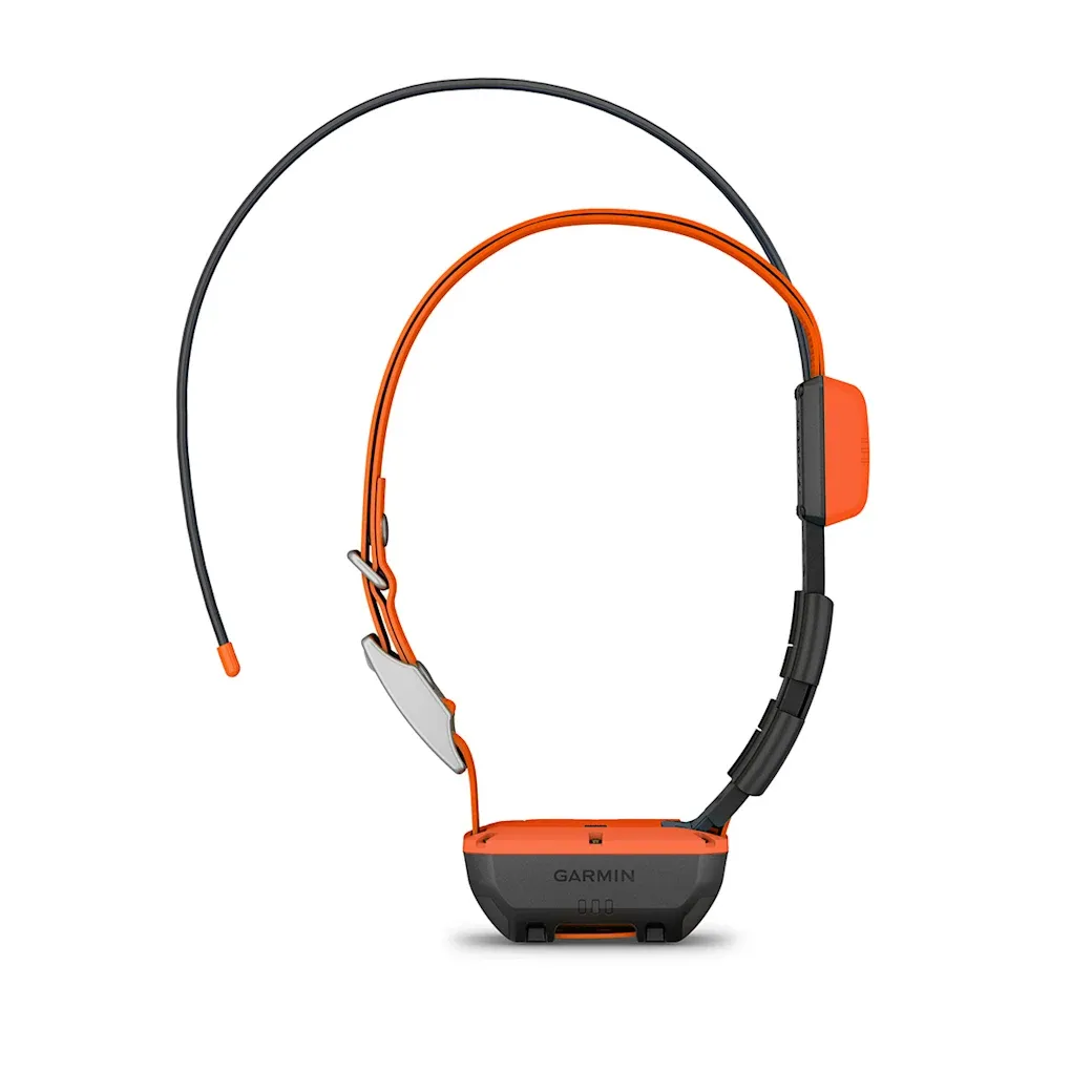 Halsband voor honden Alpha® T20K, afbeelding 1 van 7