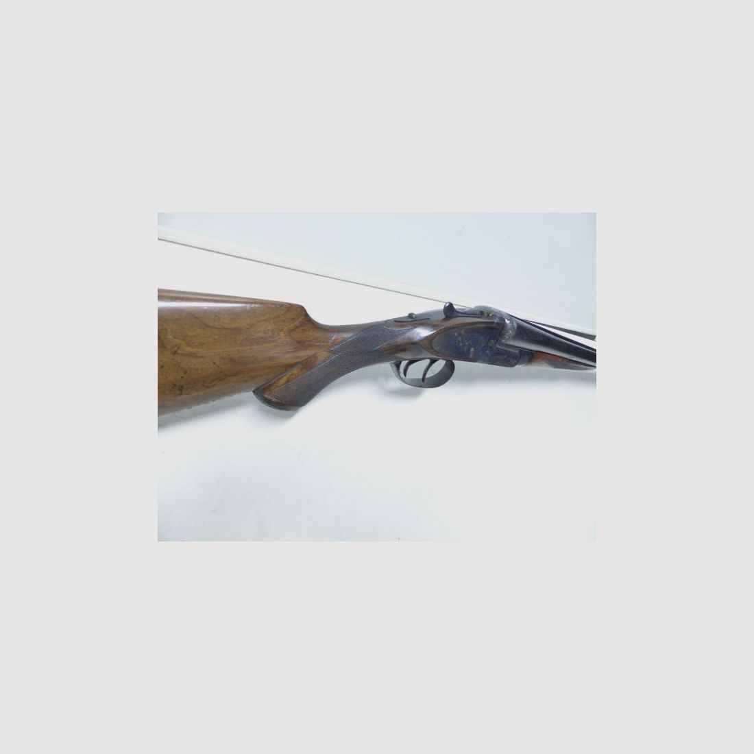 Aya-Spain	 Jagd