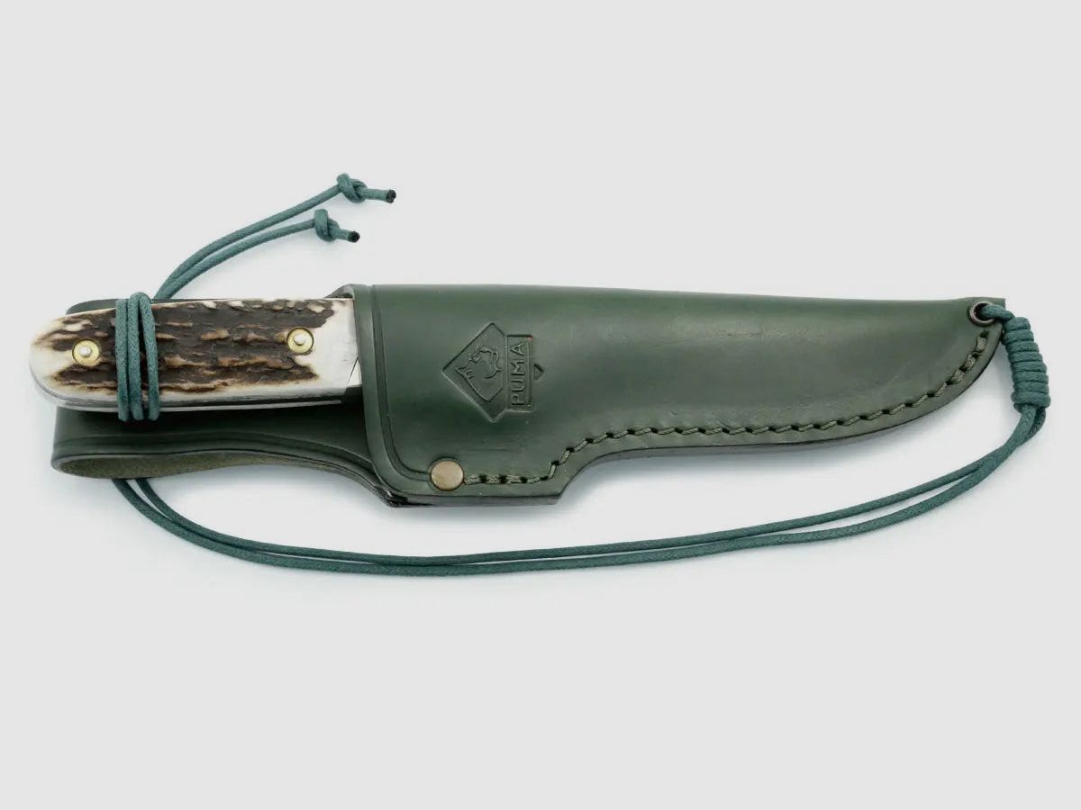 PUMA faun, stag