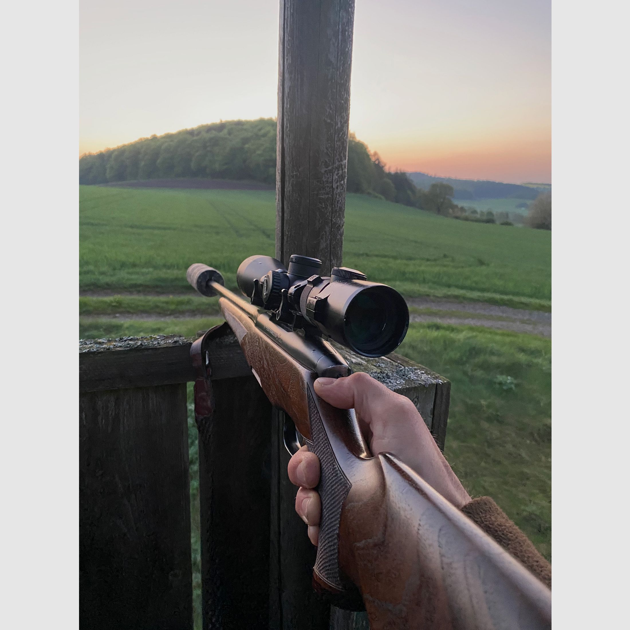 Steyr Männlicher Luxus 7x 64 Picatinny Montage 