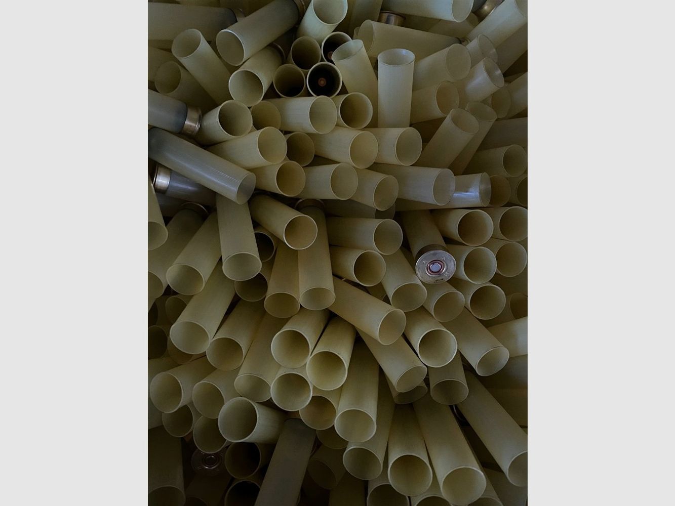 Fiocchi cal.20 t.1 h.70 616, image 5 sur 5