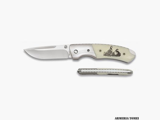 ALBAINOX – NOŻ – PERNICE OSTRZE 8CM