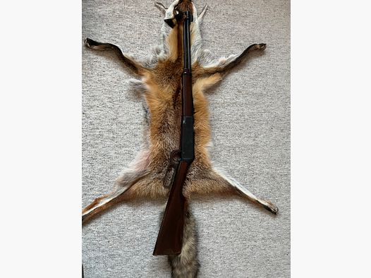 Erma ELG 10 Luftgewehr Winchester Style