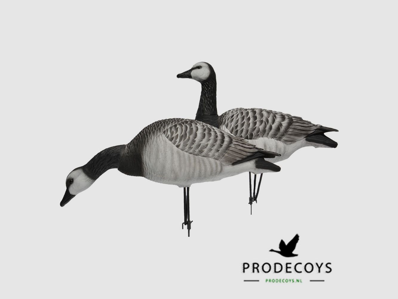 Prodecoys Elite Series Brent Goose Decoys, Full Body – Set of 6, image 1 of 8