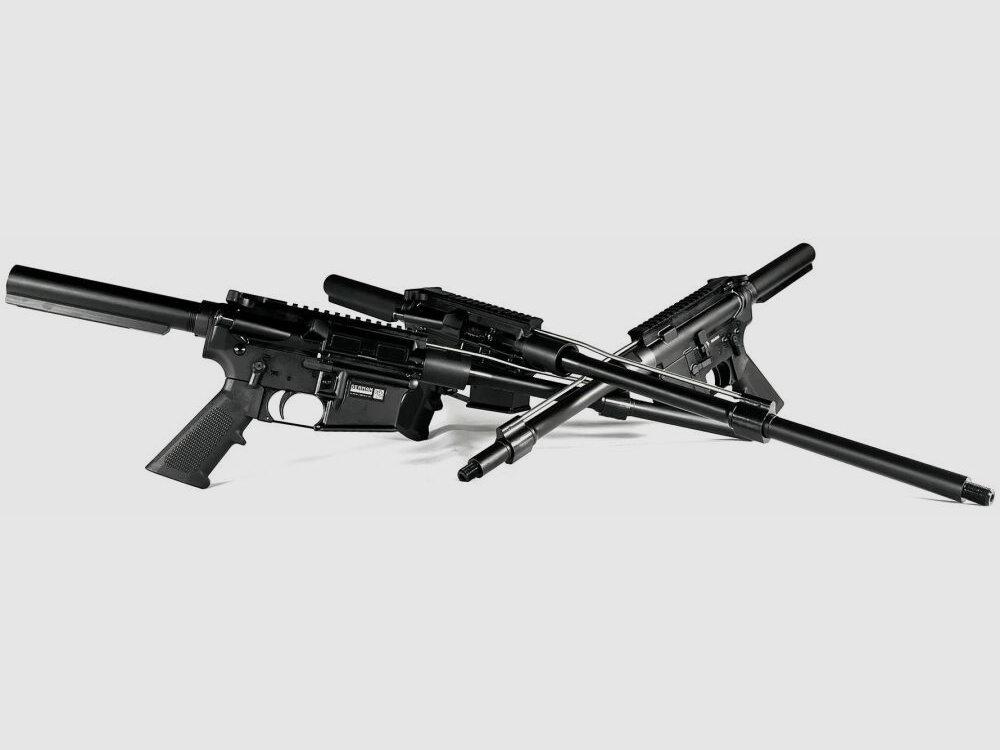 German Tactical Systems NAKED AR15 (ABR15 Naked)