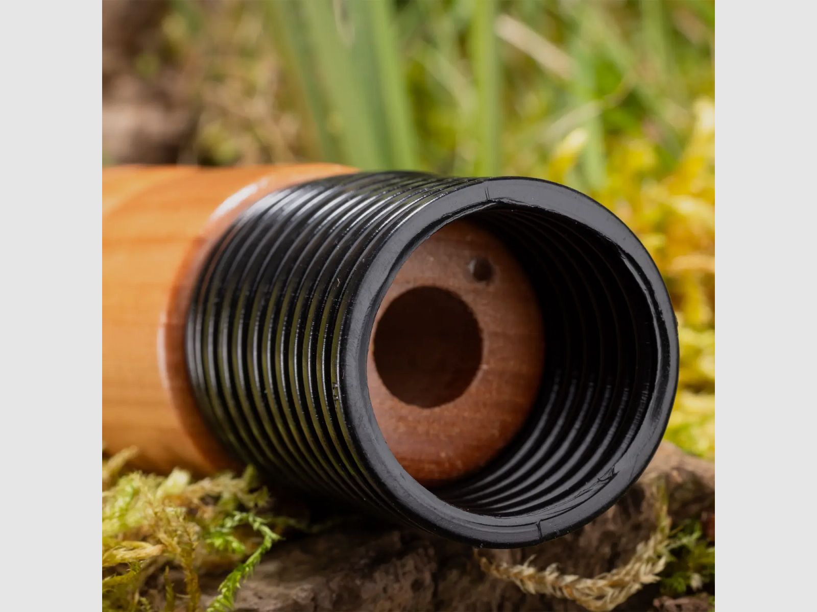 Weisskirchen Rabenkrähenlocker