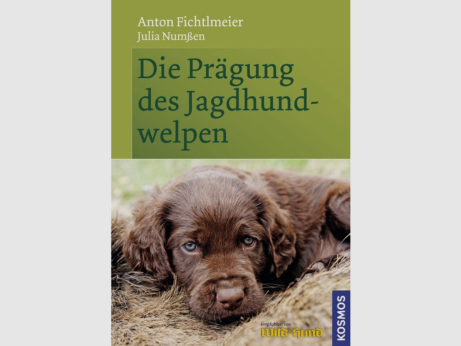 De imprinting van de jachthondpuppy
