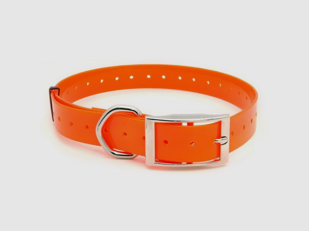 Halsband "Polytec" 25mm, Bild 36 von 36