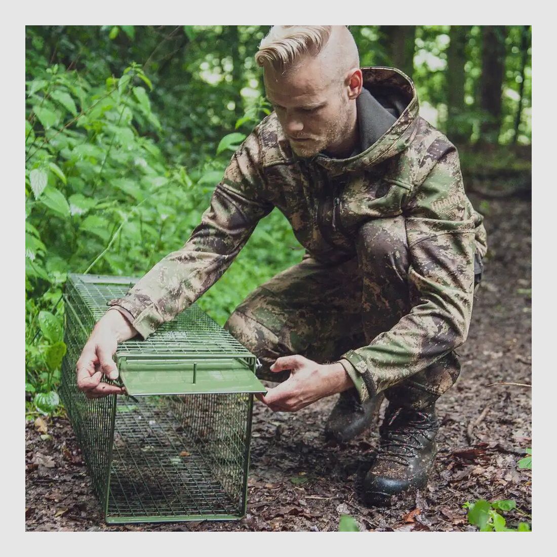 Frankonia trap live catch – single door folding doors