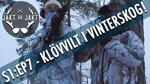 Drevjakt på klövvilt i vinterskog