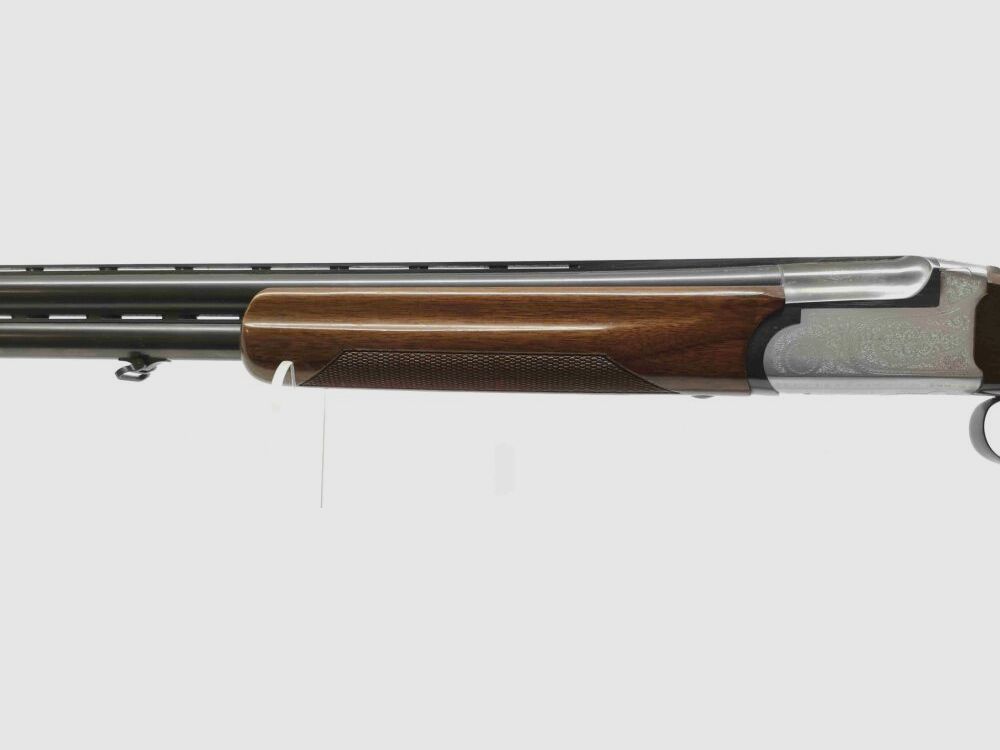 Rottweil 500