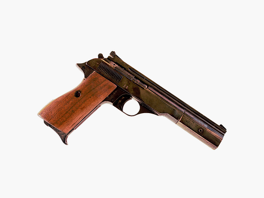 bernardelli 69 22lr