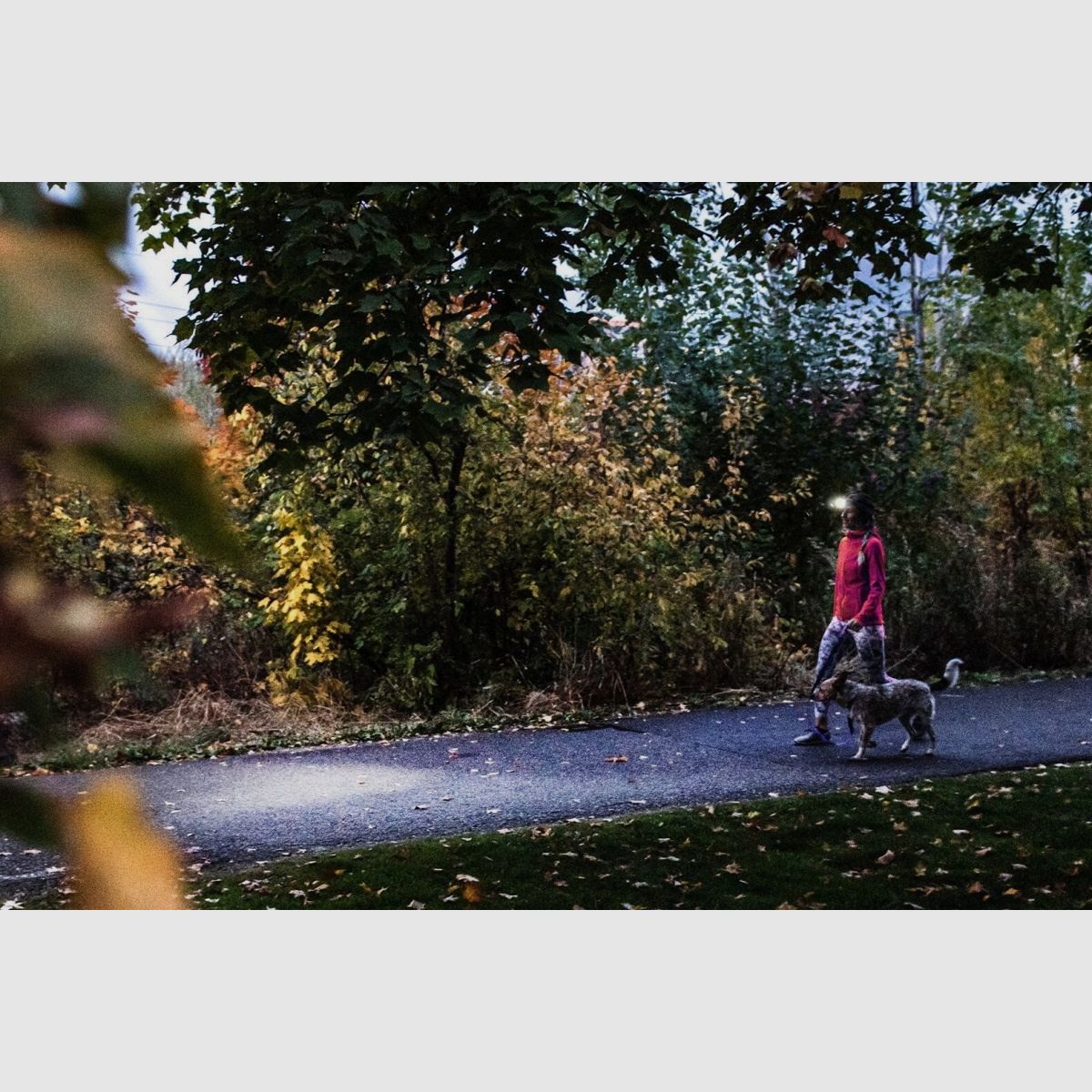 LEDLENSER HF4R CORE CZARNY