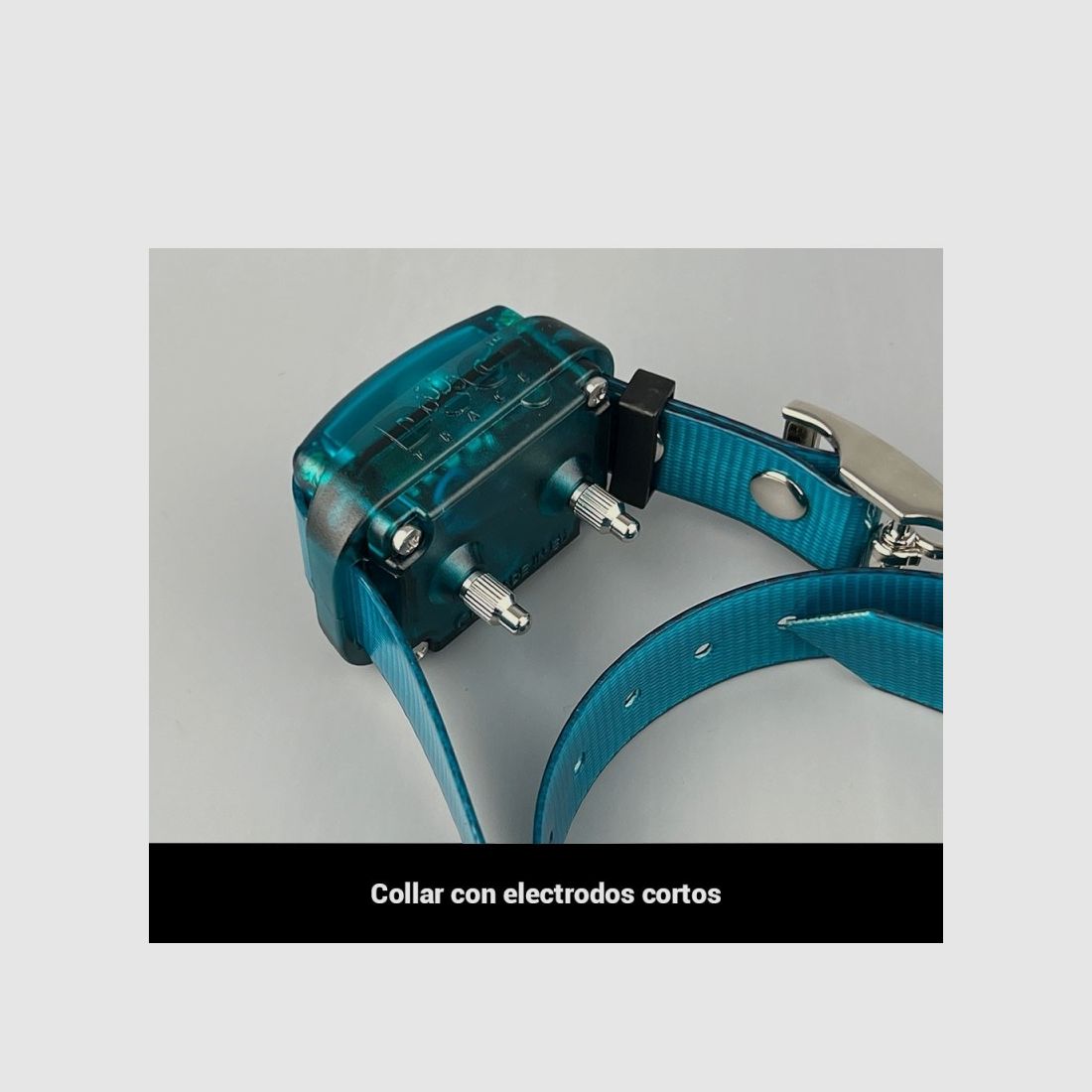 Dogtrace Easy Mini+, Bild 7 von 21
