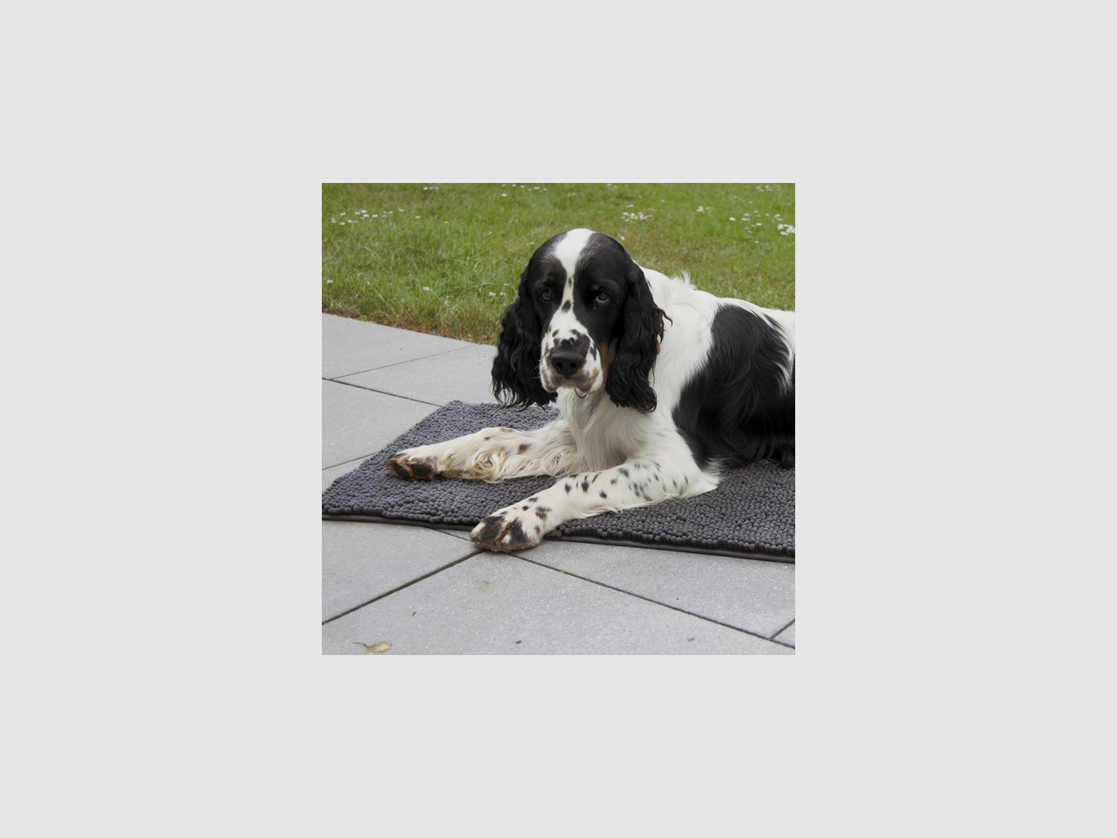 WAIDWERK - Hundematte