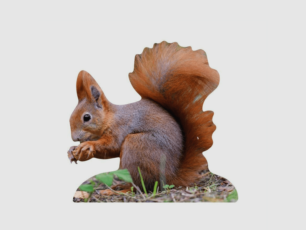Tieraufsteller Eichhörnchen